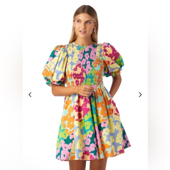 CROSBY by Mollie Burch Dresses & Skirts - Crosby Lizzy dress